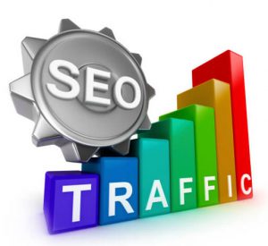 SEO Traffic Non Paid Traffic