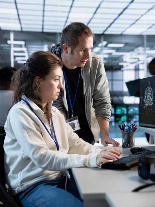 it consulting and support bg